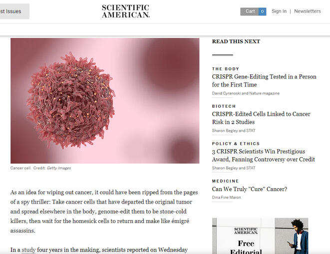 Scientific American Feature